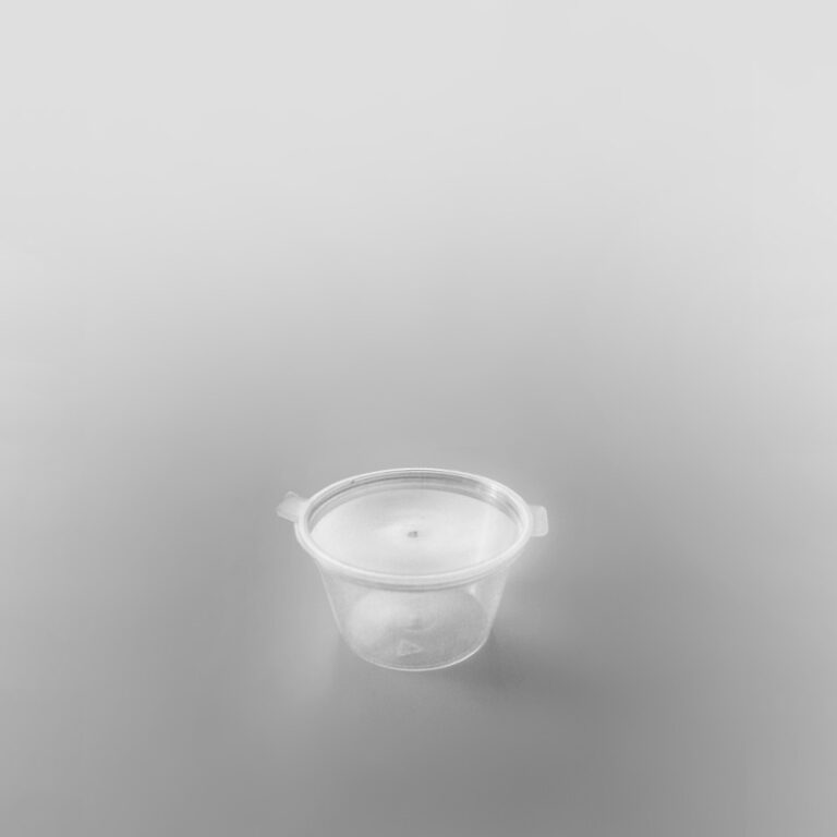 Hinged Plastic Sauce Container Round Pack Food 2GO