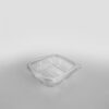 Somoplast 2 Compartment Clear Hinged Rectangular Container [250cc]