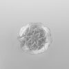 Plastic Round Tray Clear